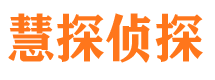 兰西市侦探公司